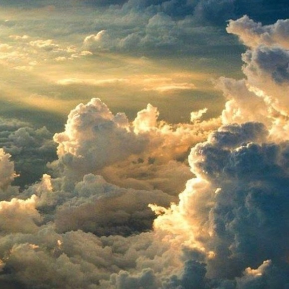 Meet your Posher, Adrianne - Picture 1 of 1